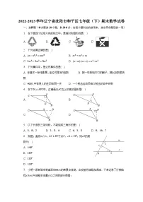 2022-2023学年辽宁省沈阳市和平区七年级（下）期末数学试卷（含解析）