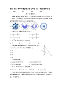 2022-2023学年河南省新乡市七年级（下）期末数学试卷（含解析）