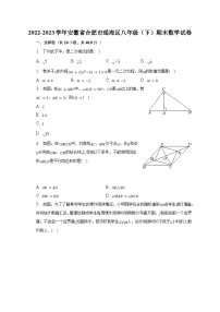 2022-2023学年安徽省合肥市瑶海区八年级(下)期末数学试卷(含解析)