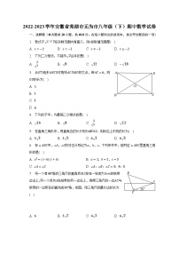 2022-2023学年安徽省芜湖市无为市八年级（下）期中数学试卷（含解析）