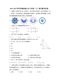 2022-2023学年河南省新乡市七年级(下)期末数学试卷(含解析)