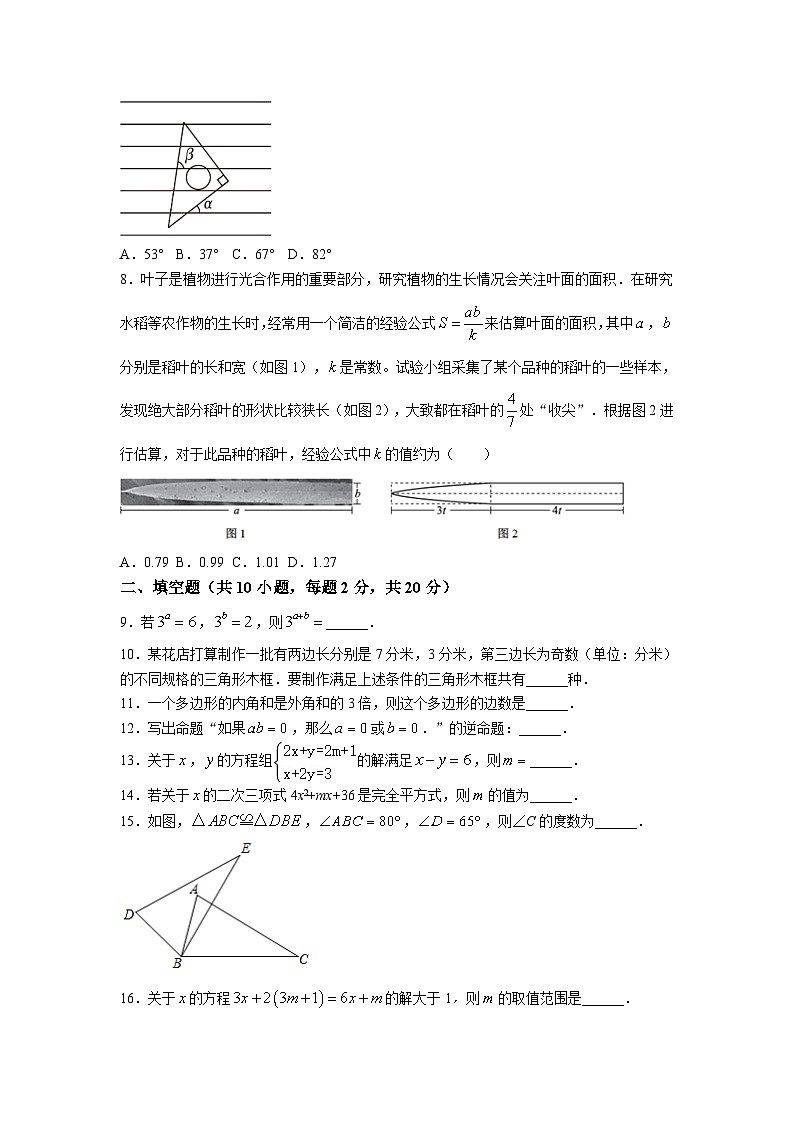 江苏省盐城市亭湖区盐城景山中学2022-2023学年七年级下学期期末数学试题(含答案)第2页