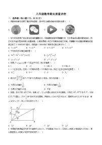 河南省信陽市平橋區(qū)龍井鄉(xiāng)中心學(xué)校等5校2022-2023學(xué)年八年級上學(xué)期期末數(shù)學(xué)試題(含答案)