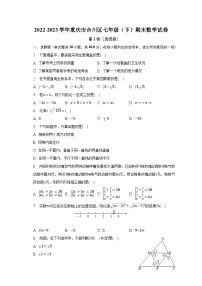 2022-2023学年重庆市合川区七年级（下）期末数学试卷（含解析）