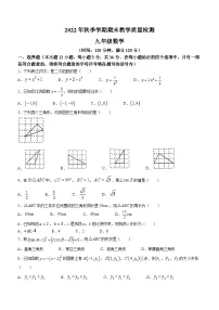 广西壮族自治区贺州市昭平县2022-2023学年九年级上学期期末数学试题(含答案)