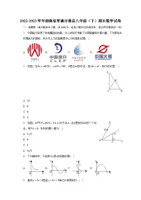 2022-2023学年湖南省常德市澧县八年级(下)期末数学试卷(含解析)