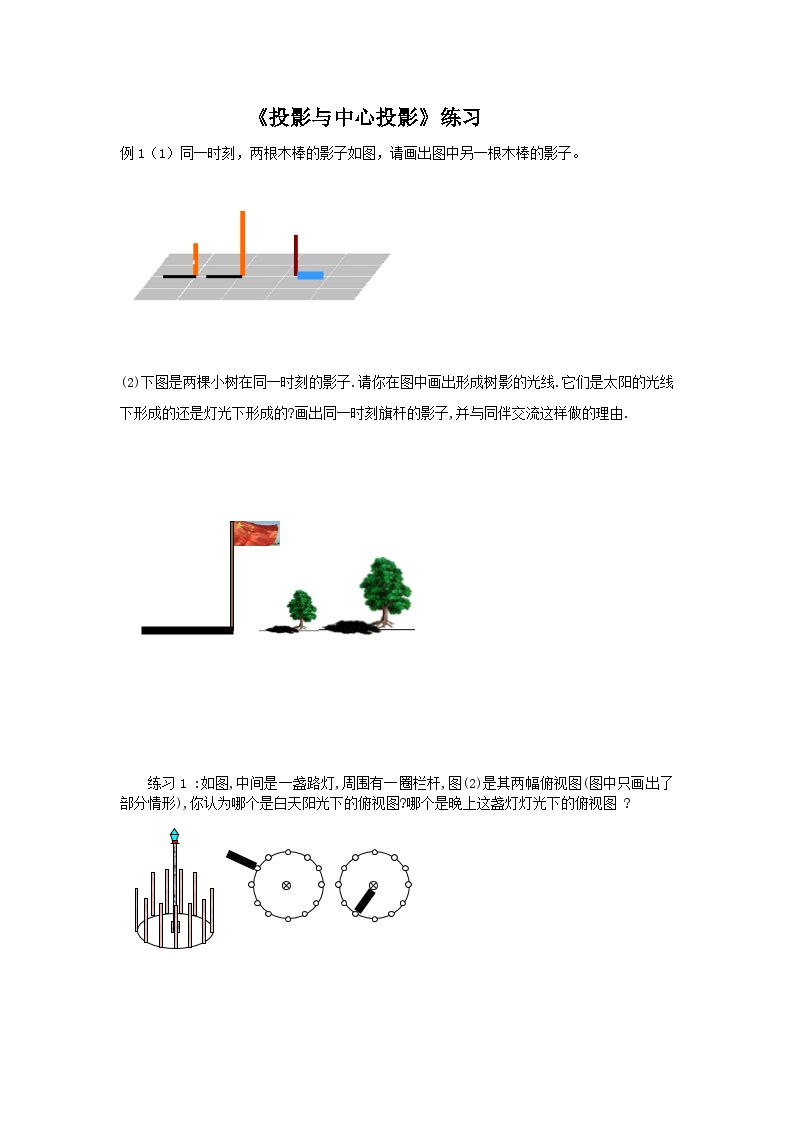 初中北师大版1 投影学案