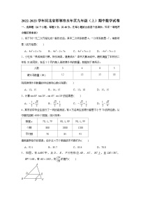 河北省邯郸市永年区2022-2023学年九年级（上）期中数学试卷