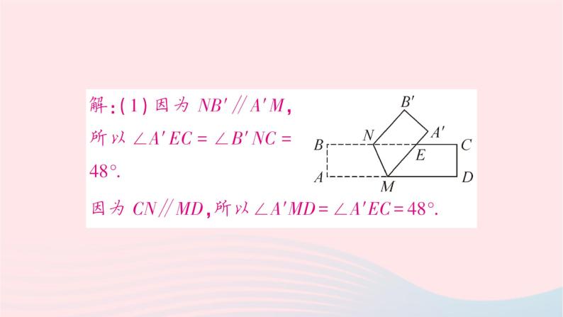 2023七年级数学下册第4章相交线与平行线专题训练十利用平行线的性质求角度二借助折叠的性质作业课件新版湘教版05