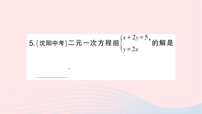 2023七年级数学下册第1章二元一次方程组--1.2二元一次方程组的解法1.2.1代入消元法作业课件新版湘教版07