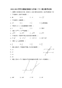 2022-2023学年安徽省宣城市七年级（下）期末数学试卷（含解析）