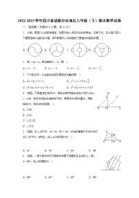 2022-2023學年四川省成都市雙流區(qū)八年級（下）期末數(shù)學試卷（含解析）
