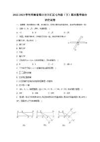 2022-2023学年河南省周口市川汇区七年级（下）期末数学综合评价试卷（含解析）