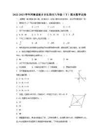 2022-2023学年河南省新乡市长垣市八年级（下）期末数学试卷（含解析）