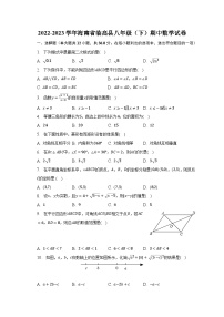 2022-2023学年海南省临高县八年级（下）期中数学试卷（含解析）