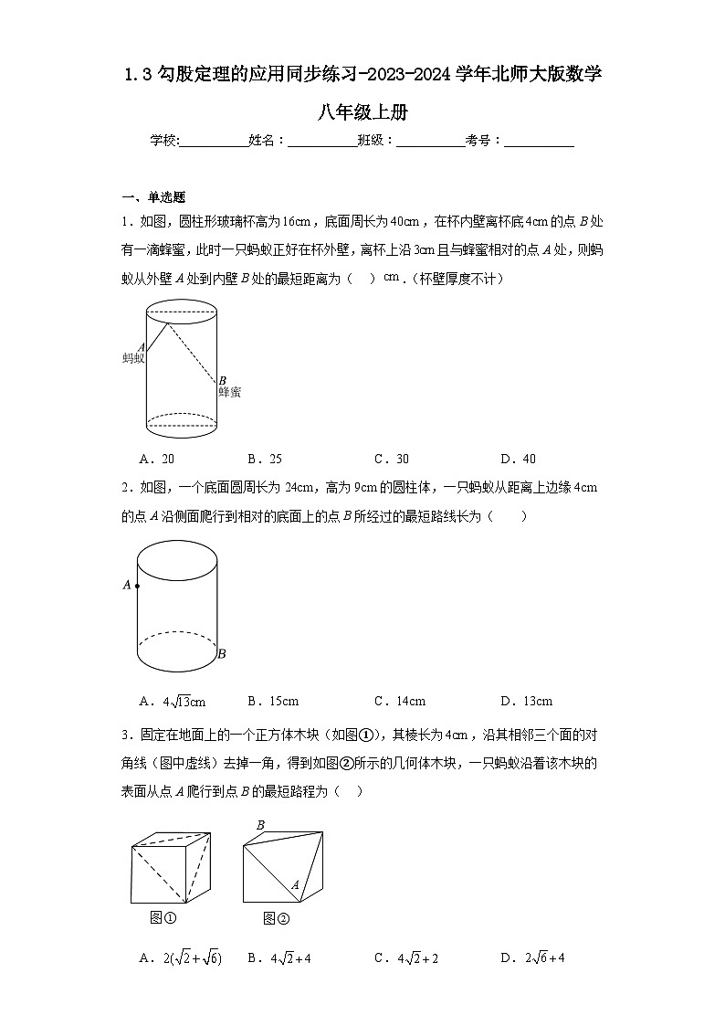 1.3勾股定理的应用同步练习-2023-2024学年北师大版数学八年级上册第1页