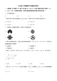 九年级下学期期中数学试卷