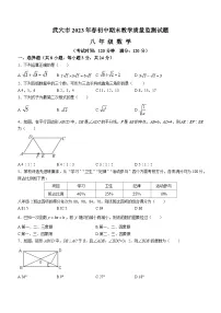 湖北省黄冈市武穴市2022-2023学年八年级下学期期末数学试题（含答案）