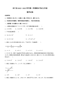 河南省洛阳市洛宁县2022-2023学年七年级上学期期末数学试题（含答案）