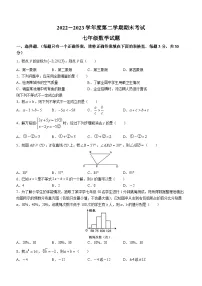 河南省周口市鹿邑县2022-2023学年七年级下学期期末数学试题(含答案)