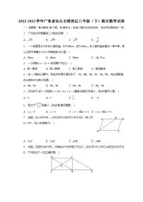 2022-2023学年广东省汕头市澄海区八年级（下）期末数学试卷（含解析）