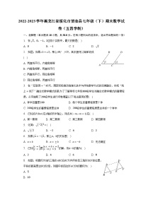 2022-2023学年黑龙江省绥化市望奎县七年级（下）期末数学试卷（五四学制）（含解析）