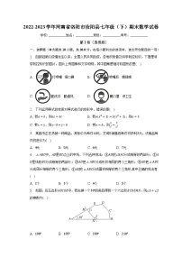2022-2023学年河南省洛阳市汝阳县七年级（下）期末数学试卷（含解析） (1)