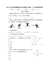 2022-2023学年湖南省永州市双牌县七年级（下）期末数学试卷（含解析）