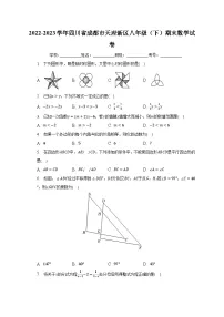 2022-2023学年四川省成都市天府新区八年级（下）期末数学试卷（含解析）