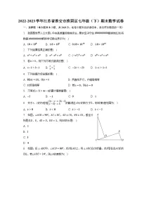 2022-2023学年江苏省淮安市淮阴区七年级(下)期末数学试卷(含解析)