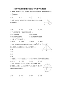2023年陕西省渭南市合阳县中考数学二模试卷（含解析）
