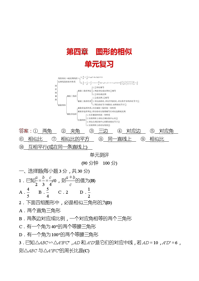 【单元复习卷】北师大版数学九年级上册--第四章 图形的相似 单元复习试卷 (教师版)第1页