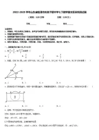 2022-2023学年山东省临清市刘垓子镇中学七下数学期末质量检测试题含答案