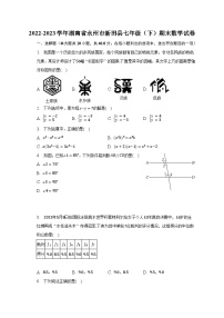 2022-2023学年湖南省永州市新田县七年级（下）期末数学试卷（含解析）