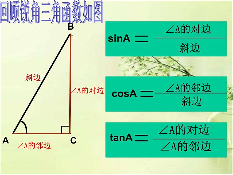 《特殊角的三角函数值及用计算器求角的三角函数值》PPT课件2-九年级下册数学人教版第2页