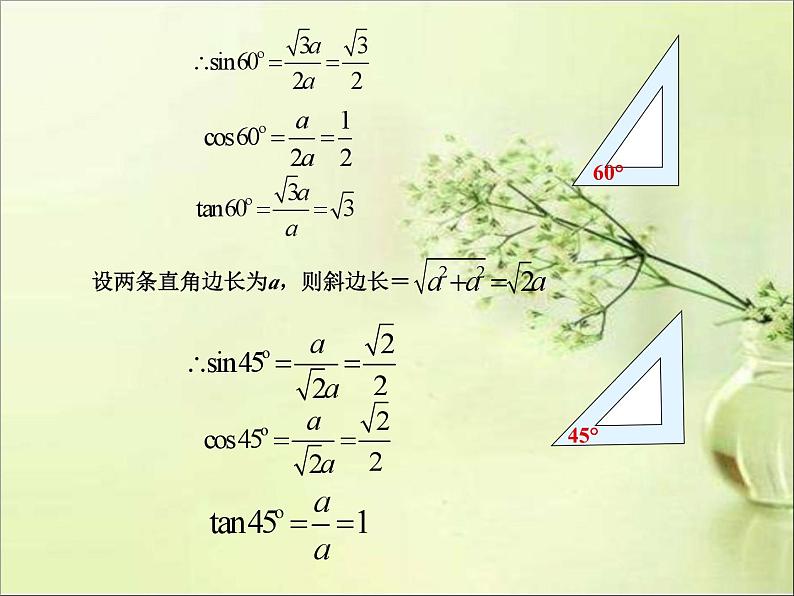 《特殊角的三角函数值及用计算器求角的三角函数值》PPT课件2-九年级下册数学人教版第4页