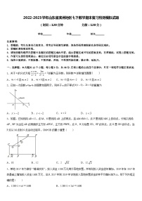 2022-2023学年山东省滨州地区七下数学期末复习检测模拟试题含答案