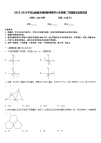 2022-2023学年山西省泽州县联考数学七年级第二学期期末监测试题含答案