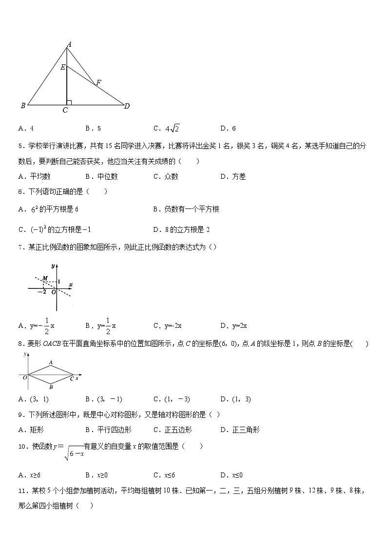 2022-2023学年河南省淮阳区羲城中学数学七下期末考试模拟试题含答案第2页