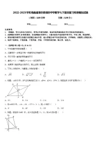 2022-2023学年海南省澄迈县澄迈中学数学七下期末复习检测模拟试题含答案