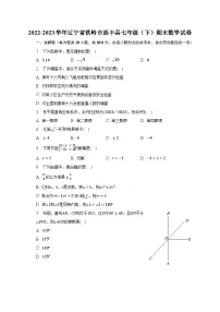 2022-2023学年辽宁省铁岭市西丰县七年级（下）期末数学试卷（含解析）