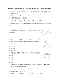 2022-2023学年河南省周口市川汇区七年级（下）期中数学试卷（含解析）