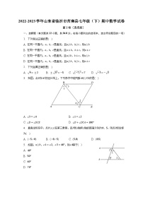 2022-2023學(xué)年山東省臨沂市莒南縣七年級（下）期中數(shù)學(xué)試卷（含解析）