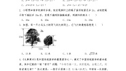 初中数学第一章 勾股定理3 勾股定理的应用精品练习题