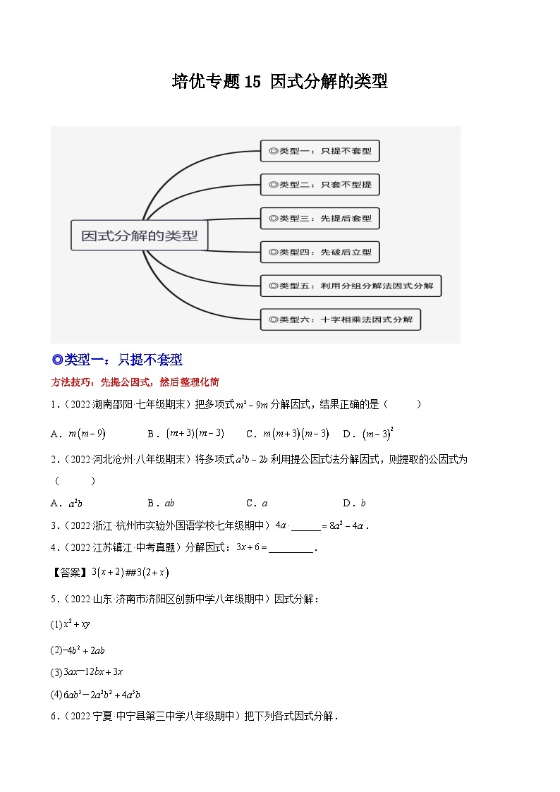 培优专题15 因式分解的类型-2023-2024学年八年级数学上册精选专题培优讲与练（人教版）01