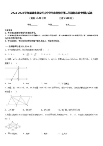 2022-2023学年福建省惠安科山中学七年级数学第二学期期末联考模拟试题含答案