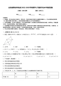 山东省青岛市崂山区2022-2023学年数学七下期末学业水平测试试题含答案