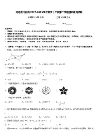 河南省沈丘县2022-2023学年数学七年级第二学期期末监测试题含答案
