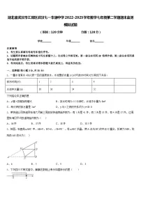 湖北省武汉市江岸区武汉七一华源中学2022-2023学年数学七年级第二学期期末监测模拟试题含答案