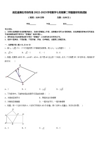 湖北省黄石市协作体2022-2023学年数学七年级第二学期期末检测试题含答案